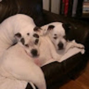 Meet your Posher, Kristie